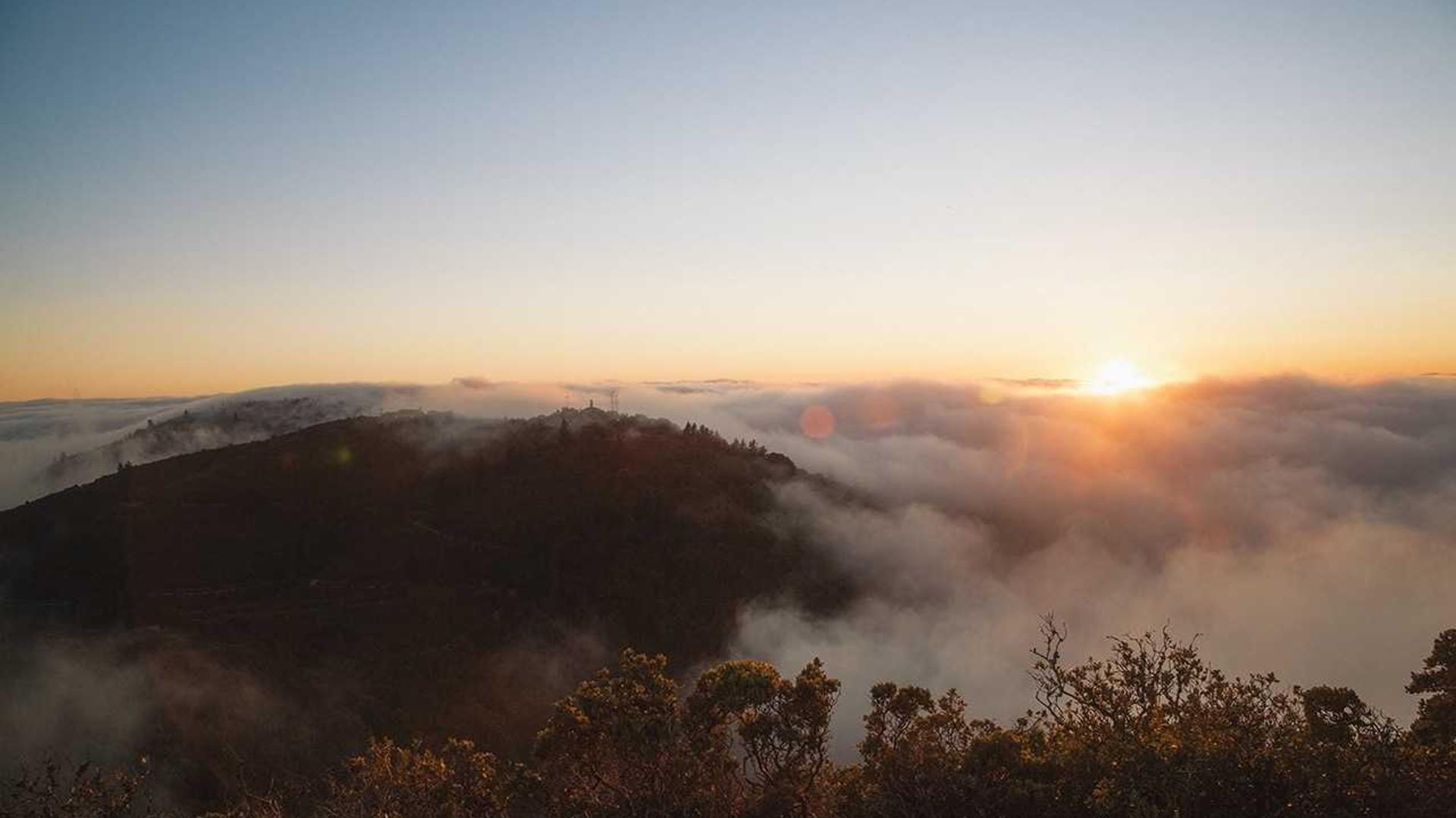 Client services team at Dot Dot Dash ready to discuss custom software